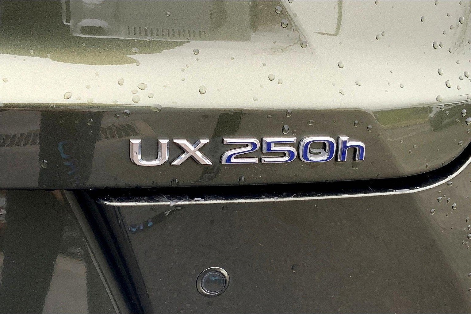 2021 Lexus UX UX 250h Luxury